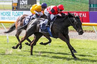 Matchmaker (NZ) wins Leg 1 of NZB's Southern Filly of the Year Series.
